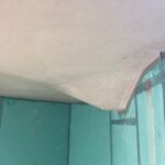 139075546_449998686147484_3528870038040143541_n